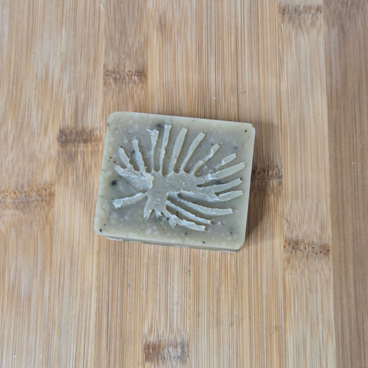 Shampoing à l'Ortie