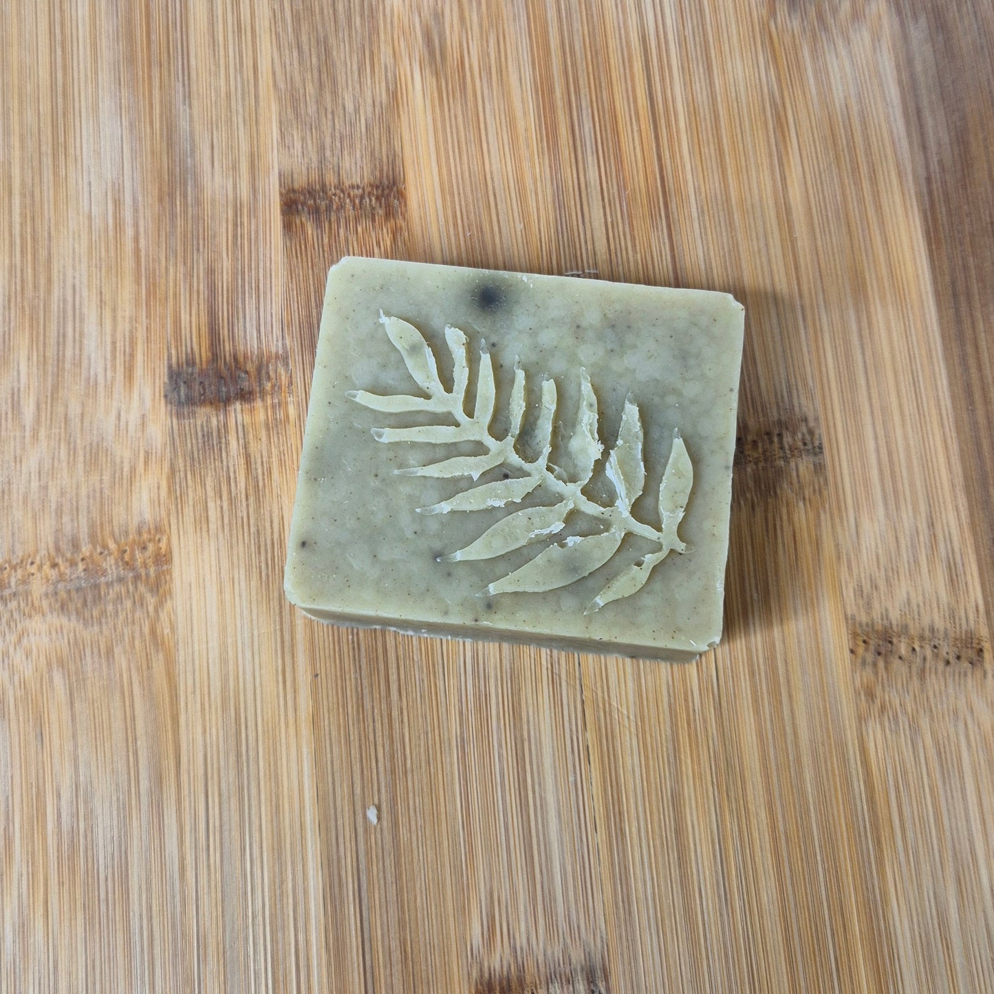 Shampoing Moringa