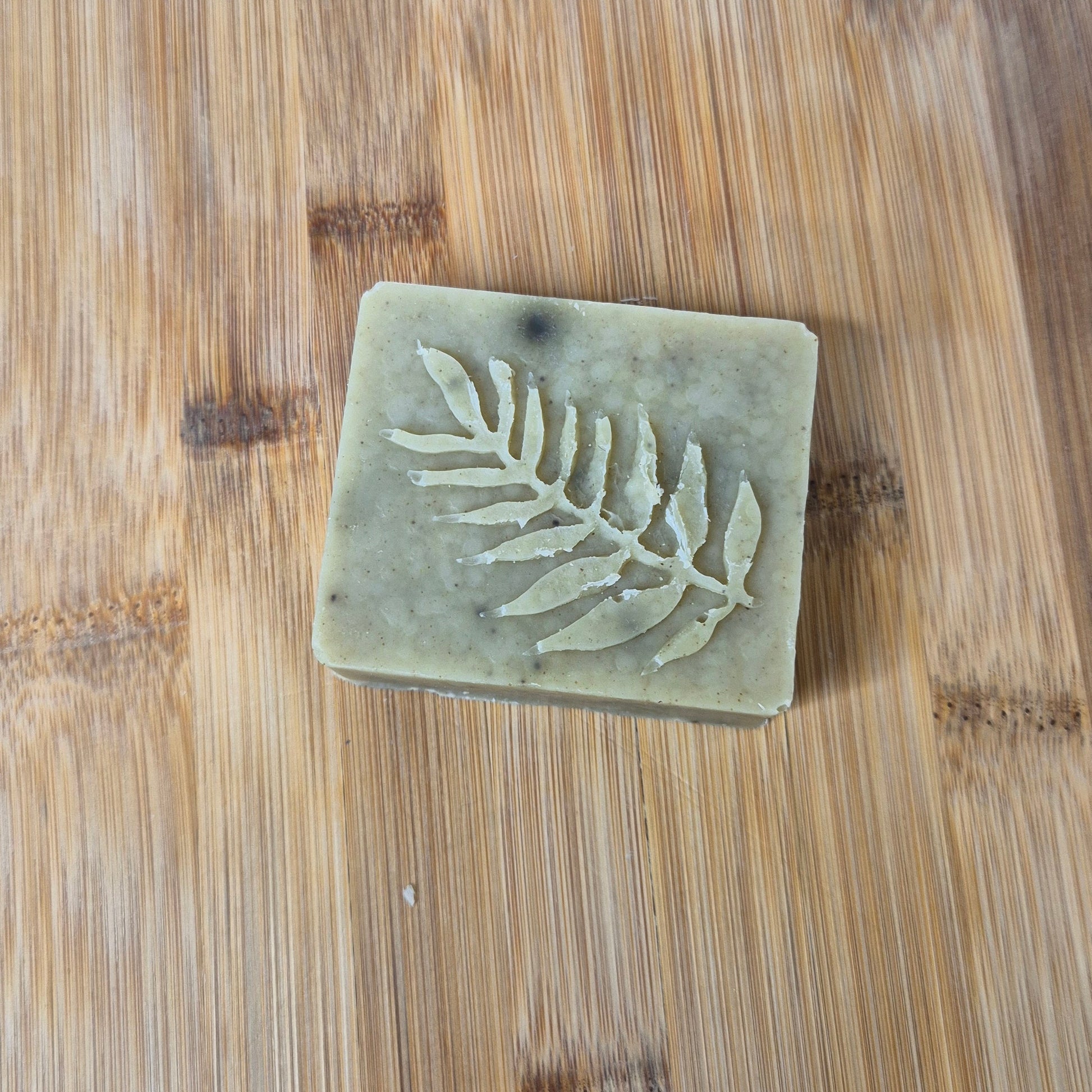 Shampoing Moringa