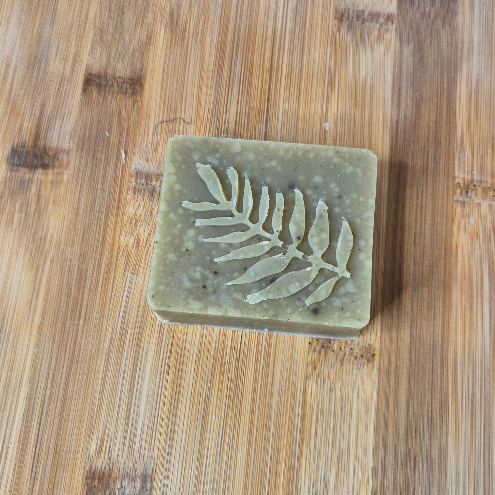 Shampoing Moringa