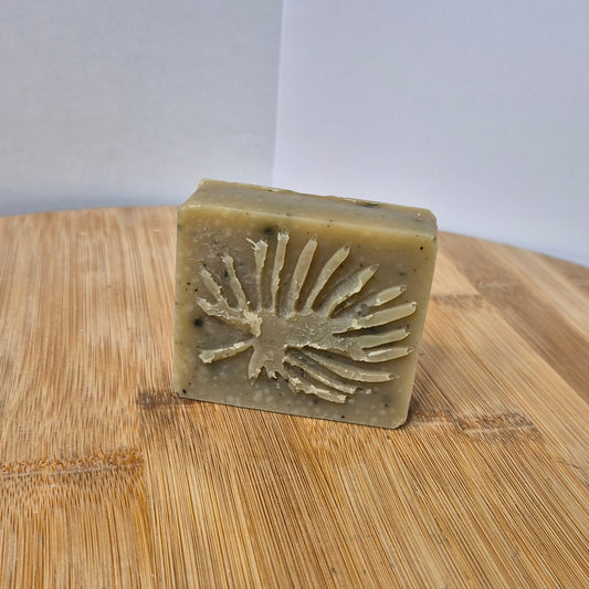 Shampoing à l'Ortie